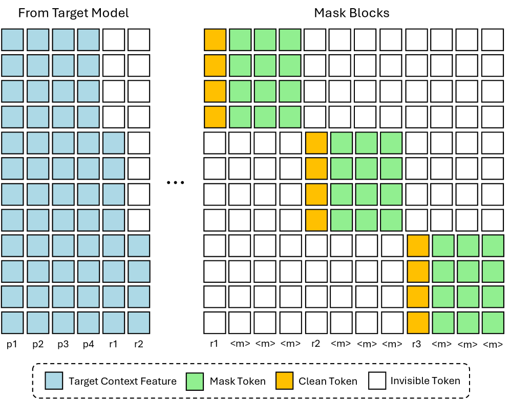 DFlash training attention diagram with target context features, randomly sampled clean anchor tokens, masked positions, and invisible positions